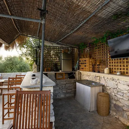The Olive Grove - Sp *