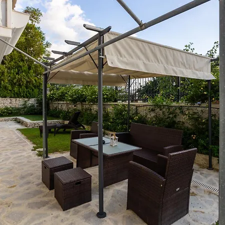 The Olive Grove - Sp *