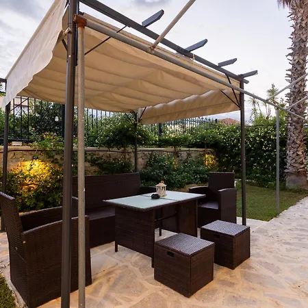 The Olive Grove - Sp *