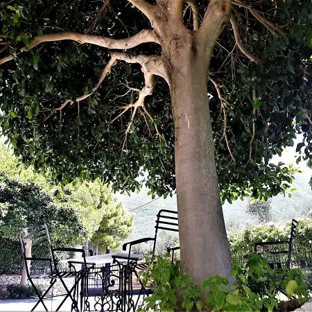 Villa The Olive Grove - Sp Kalamata
