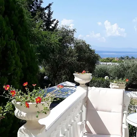 The Olive Grove - Sp * Kalamata