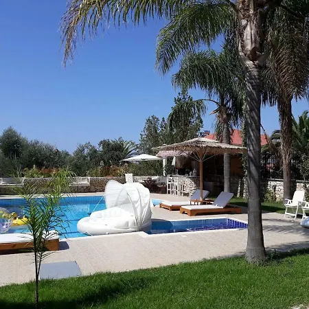 The Olive Grove - Sp Villa