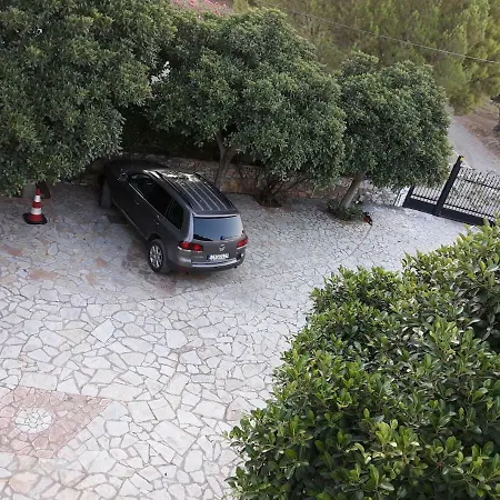 The Olive Grove - Sp