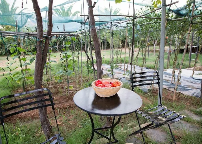 Luxury In / Sp Kalamata